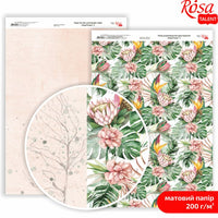 Carte per scrapbooking King Protea A4 – No. 3