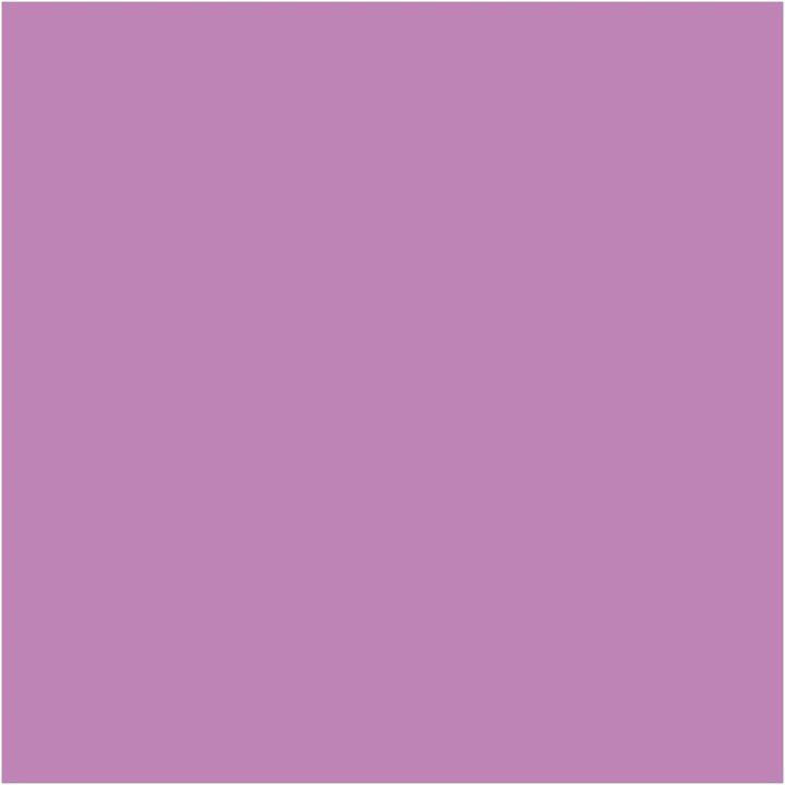 Pittura decorativa gessosa Pentart | Varie tonalità