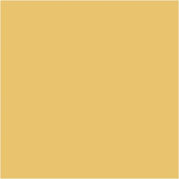 Pittura decorativa gessosa Pentart | Varie tonalità