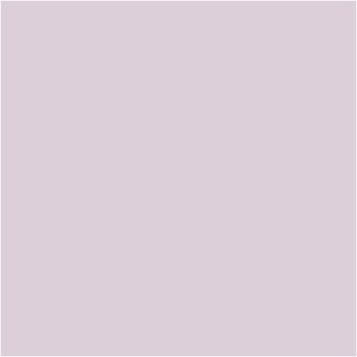 Pittura decorativa gessosa Pentart | Varie tonalità