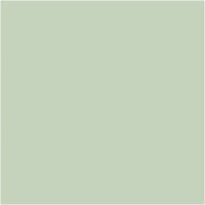 Pittura decorativa gessosa Pentart | Varie tonalità