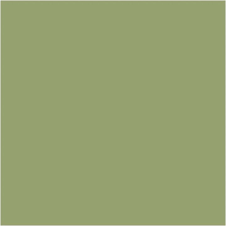 Pittura decorativa gessosa Pentart | Varie tonalità