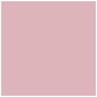 Polvere minerale Art Mica 9 g | scegli un colore