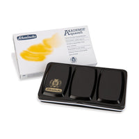 Scatola di metallo vuota Schmincke AKADEMIE Aquarell per 12 mezzi godet