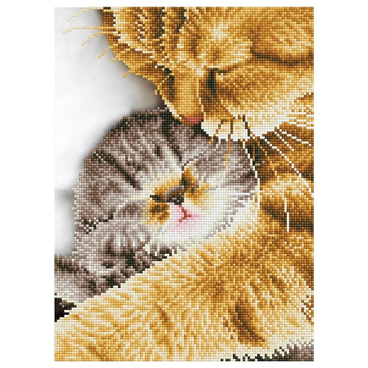 Set con perline Diamond Painting Momento dolce 30 x 41