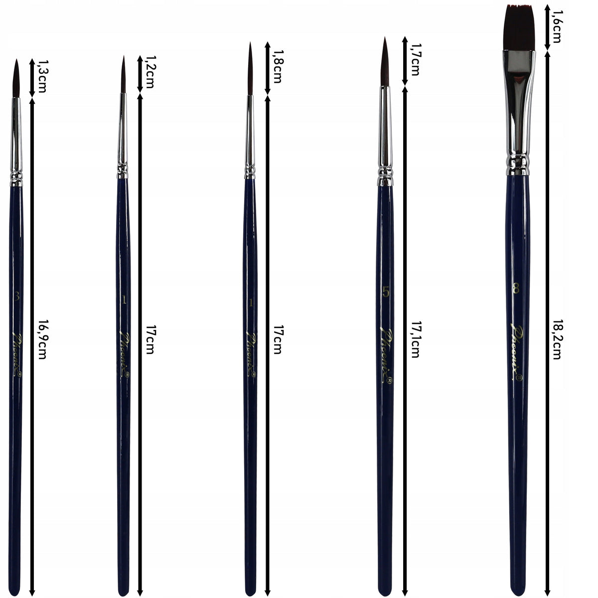 Set di 5 pennelli Phoenix 6614S1
