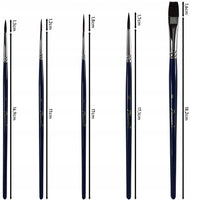 Set di 5 pennelli Phoenix 6614S1