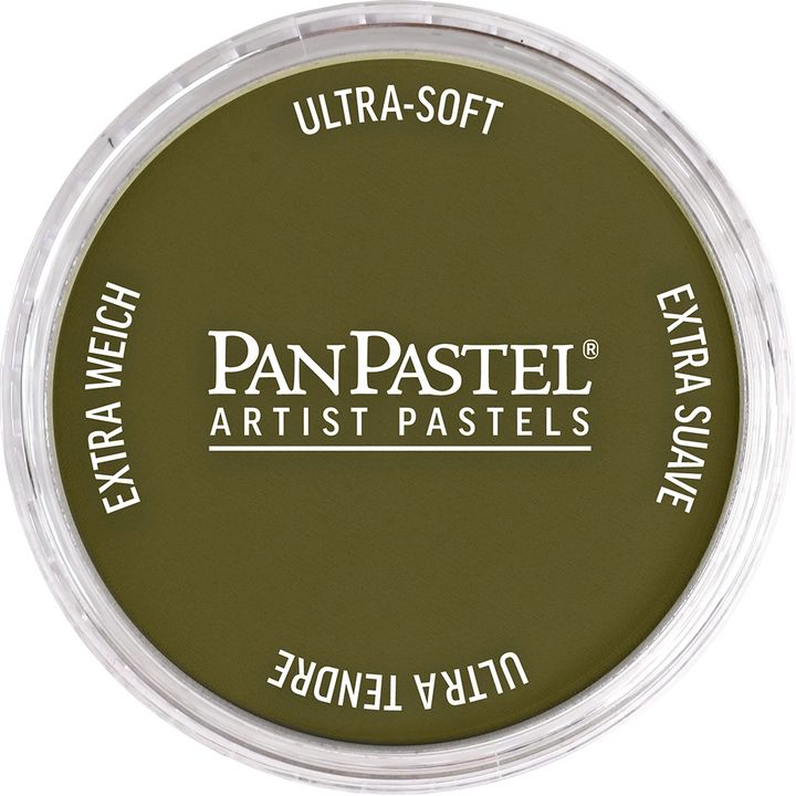 Colori a pastello per artisti PanPastel – 270,1 Ossido giallo extra scuro