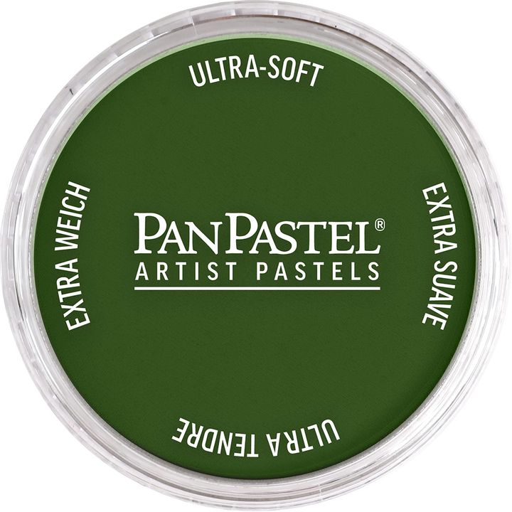 Colori a pastello per artisti PanPastel – 660,5 Ossido di cromo verde
