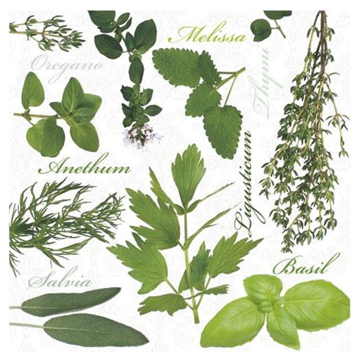 Tovagliolo per decoupage Herbs - 1 pz
