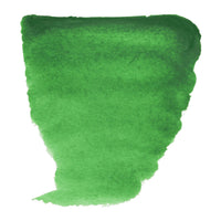 Van Gogh colore ad acquerello ROYAL TALENS 10 ml Permanent Green