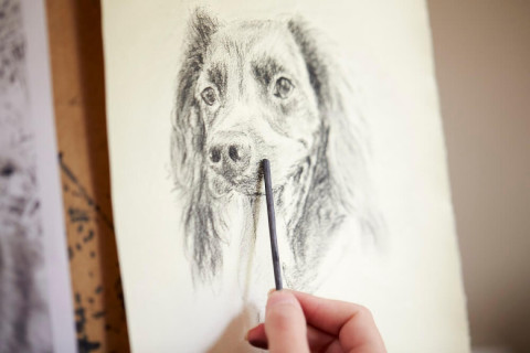 Come disegnare un cane? Passo dopo passo